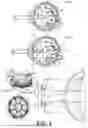 Fig. 02 - MYOPIA CONTROL CONTACT LENS