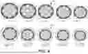 Fig. 08 - MYOPIA CONTROL CONTACT LENS