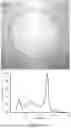 Fig. 17 - LIGHT SOURCES THAT INCREASE OBJECT CHROMA WHEN DIMMED