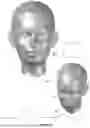 Fig. 09 - AN APPARATUS AND METHOD FOR CUSTOMIZING THE FIT OF A FACE MASK