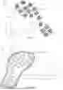 Fig. 02 - SENSOR ARRANGEMENT FOR DETECTING A FORCE BETWEEN A FOOT AND A SUPPORTING SURFACE