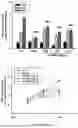 Fig. 06 - PHARMACEUTICAL COMPOSITION AND METHOD FOR INHIBITING ANGIOGENESIS