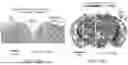 Fig. 17 - ULTRASOUND MODULATION OF BRAIN ACTIVITY