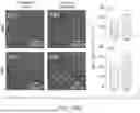 Fig. 23 - ULTRASOUND MODULATION OF BRAIN ACTIVITY