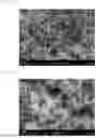Fig. 02 - METAL NANOWIRE HAVING CORE-SHELL STRUCTURE