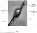 Fig. 06 - SYSTEMS AND METHODS FOR UTILIZING IN-LINE WIRE FEEDERS