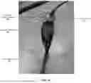 Fig. 07 - SYSTEMS AND METHODS FOR UTILIZING IN-LINE WIRE FEEDERS