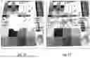 Fig. 06 - Systems and devices for transferring images to white and light colored articles