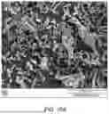 Fig. 22 - SCALABLE SYNTHESIS OF PERIMORPHIC CARBONS