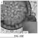 Fig. 33 - SCALABLE SYNTHESIS OF PERIMORPHIC CARBONS