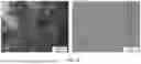 Fig. 43 - SCALABLE SYNTHESIS OF PERIMORPHIC CARBONS