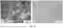 Fig. 44 - SCALABLE SYNTHESIS OF PERIMORPHIC CARBONS