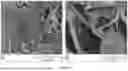 Fig. 64 - SCALABLE SYNTHESIS OF PERIMORPHIC CARBONS