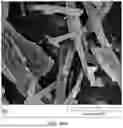 Fig. 76 - SCALABLE SYNTHESIS OF PERIMORPHIC CARBONS