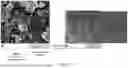 Fig. 83 - SCALABLE SYNTHESIS OF PERIMORPHIC CARBONS