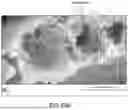 Fig. 89 - SCALABLE SYNTHESIS OF PERIMORPHIC CARBONS