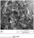 Fig. 97 - SCALABLE SYNTHESIS OF PERIMORPHIC CARBONS