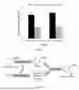 Fig. 02 - SINGLE-STEP CATALYTIC PROCESS FOR THE PRODUCTION OF ALKYLATED AROMATICS USING CO2