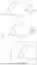Fig. 1981 - POTASSIUM CHANNEL MODULATORS
