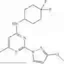 Fig. 367 - POTASSIUM CHANNEL MODULATORS