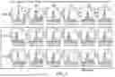 Fig. 04 - ANTIBODIES AGAINST INFLUENZA A VIRUSES