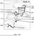 Fig. 20 - ANTIBODIES AGAINST INFLUENZA A VIRUSES