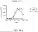 Fig. 42 - ANTIBODIES AGAINST INFLUENZA A VIRUSES
