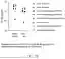 Fig. 56 - ANTIBODIES AGAINST INFLUENZA A VIRUSES