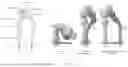 Fig. 02 - ANTIBODIES AGAINST INTEGRIN ALPHA 11 BETA 1