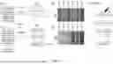 Fig. 04 - NANO-FUNCTIONALISED CLAY MINERALS FOR STRUCTURAL COLOURATION