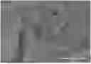 Fig. 01 - POLYMER COMPOSITE, PREPARATION METHOD THEREFOR AND APPLICATION THEREOF