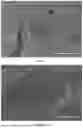 Fig. 02 - POLYMER COMPOSITE, PREPARATION METHOD THEREFOR AND APPLICATION THEREOF