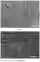 Fig. 04 - POLYMER COMPOSITE, PREPARATION METHOD THEREFOR AND APPLICATION THEREOF