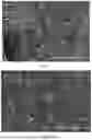 Fig. 05 - POLYMER COMPOSITE, PREPARATION METHOD THEREFOR AND APPLICATION THEREOF