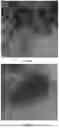Fig. 14 - Catalytic conversion of carbonaceous feedstock material into a biochar product