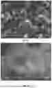 Fig. 16 - Catalytic conversion of carbonaceous feedstock material into a biochar product