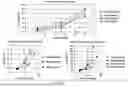 Fig. 28 - MODULES AND INSTRUMENTS FOR AUTOMATED NUCLEIC ACID-GUIDED NUCLEASE EDITING IN MAMMALIAN CELLS USING MICROCARRIERS