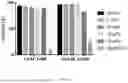 Fig. 34 - Synthetic Matrices for Cell Culture, Methods of Making and Use Thereof