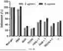 Fig. 44 - Synthetic Matrices for Cell Culture, Methods of Making and Use Thereof