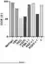 Fig. 45 - Synthetic Matrices for Cell Culture, Methods of Making and Use Thereof
