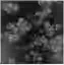 Fig. 01 - COMPOSITIONS AND METHODS FOR INDOOR AIR REMEDIATION