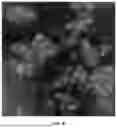 Fig. 09 - COMPOSITIONS AND METHODS FOR INDOOR AIR REMEDIATION