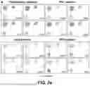Fig. 09 - IN VITRO GENERATION OF ORGANIZED 3D CELL STRUCTURES INCLUDING HEAD-TRUNK EMBRYO-LIKE STRUCTURES, USING EPIGENETIC REMODELING FACTORS-MICROFLUIDIC PLATFORM SUITABLE FOR THEIR GENERATION