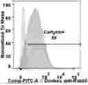 Fig. 01 - MODIFIED STEM CELL MEMORY T CELLS, METHODS OF MAKING AND METHODS OF USING SAME