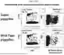 Fig. 07 - MODIFIED STEM CELL MEMORY T CELLS, METHODS OF MAKING AND METHODS OF USING SAME