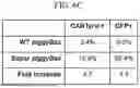 Fig. 09 - MODIFIED STEM CELL MEMORY T CELLS, METHODS OF MAKING AND METHODS OF USING SAME