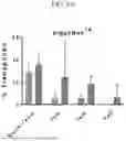 Fig. 12 - MODIFIED STEM CELL MEMORY T CELLS, METHODS OF MAKING AND METHODS OF USING SAME