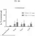 Fig. 13 - MODIFIED STEM CELL MEMORY T CELLS, METHODS OF MAKING AND METHODS OF USING SAME