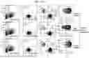 Fig. 15 - MODIFIED STEM CELL MEMORY T CELLS, METHODS OF MAKING AND METHODS OF USING SAME