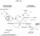 Fig. 17 - MODIFIED STEM CELL MEMORY T CELLS, METHODS OF MAKING AND METHODS OF USING SAME